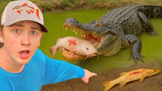 Saving Fish TRAPPED in ALLIGATOR MUD PIT!