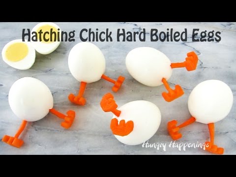 download lagu mp3 mp4 Hard Boiled Eggs Chicks, download lagu Hard Boiled Eggs Chicks gratis, unduh video klip Hard Boiled Eggs Chicks