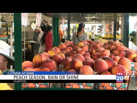 Why Clanton's peach season is a summer must for Central Alabama