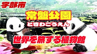宇部市【常盤公園】世界を旅する植物館ときわ公園に行って来たよぉ～
