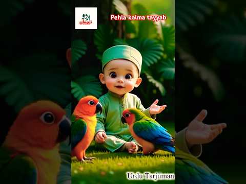 Pehla kalma tayyab 🥰💥 Naat |Beautiful Naat ♥️ cute cat 😻 #cat #cutecat #catworld #islamicshorts