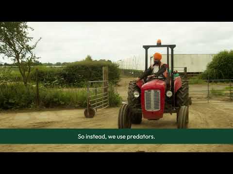 Polarity Films Ltd video.