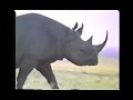 R Is For Rhinoceros