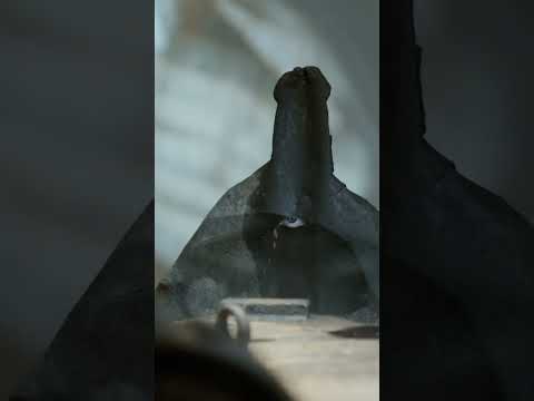 They protect and attack! Come and see the Flowers of Life at Schirn | SELMA SELMAN | SCHIRN