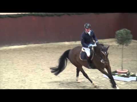 Sergeant Pepper-Kolibri mare * 2010 for sale