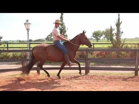 HEREZIA DO CANTO DA MATA