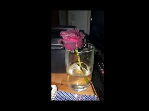 DERAC   NAJTRAZENIJI feat  MONOGAMIJA  (REMIX) :)