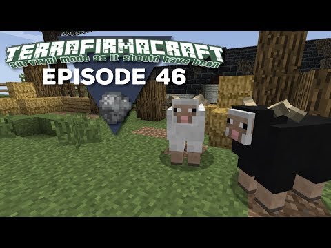 TerrafirmaCraft |S2E46| - New Sheep Pen
