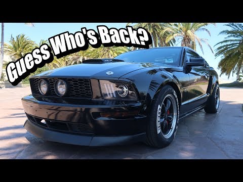 I Finally Got My Mustang GT BACK!!!