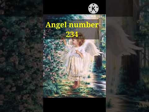 MEANING OF ANGEL NUMBER 234 TWIN FLAME #234, #angel #shorts #angelnumber #short @diviinetwinflame