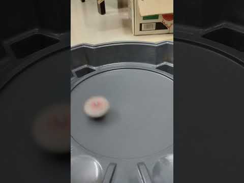 Valkyrie wing accel vs Spriggan spread fusion