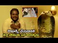 రొమాన్స్ చేయడానికి వచ్చి పాముకు 2021 Latest 