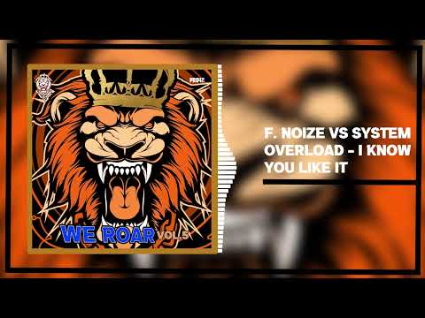 F. Noize & System overload - I Know you like it