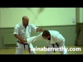 Practical Kata Bunkai Full Pinan Heian Godan Bunkai In A Single Drill