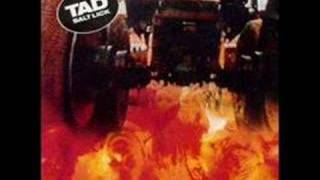 Tad - High On The Hog