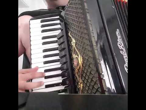 Pearl River live acordion