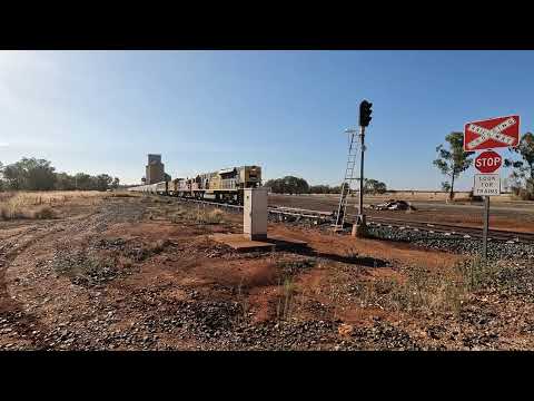 SSR101, 4811, T386 & S312 Gunningbland NSW.  Mon 12th Jan 2026