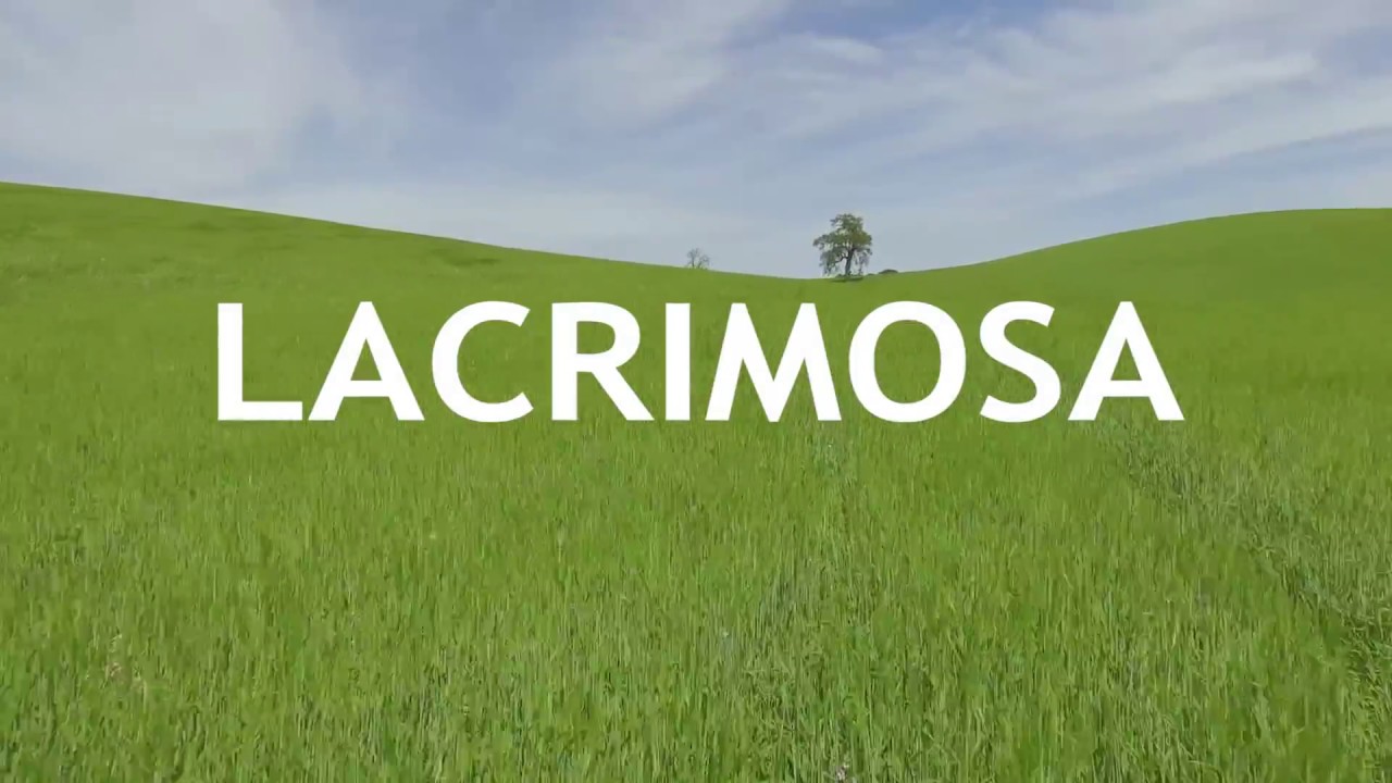 Lacrimosa Official Trailer #2