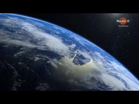 Film Dokumentalny || Drzewa I Ich Super moce  || Lektor PL