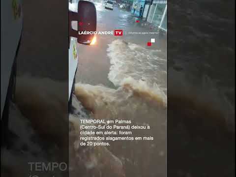Chuva “desaba” em Palmas-PR: alagamentos em mais de 20 pontos; veja o caos