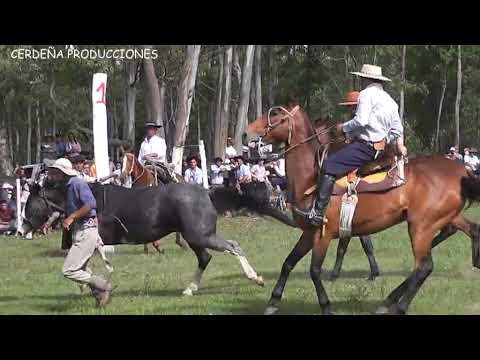 CRIOLLAS EN CERRO CHATO 7/11/2021