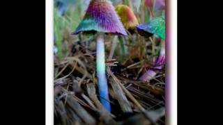 Infected Mushroom - Nothing Comes Easy