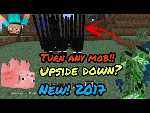MINECRAFT glitch PS4 and xbox Aug 2017 Video