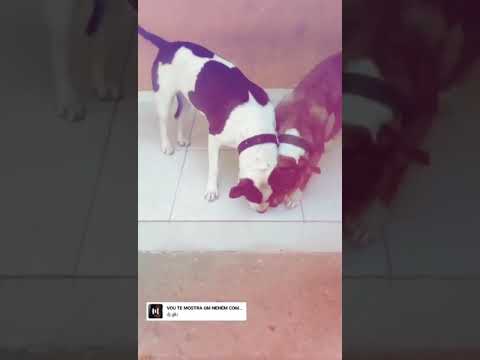 Vou te mostrar o neném com carinha de malvadão