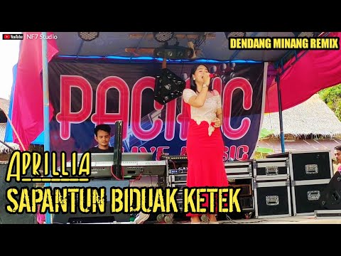 Lagu dendang Minang Sapantun Biduak Ketek -Aprillia || NF7