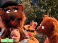 Sesame Street Papa Bear S Hug