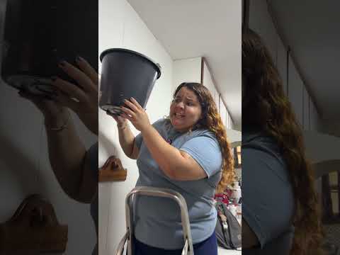 EU NÃO CAIO EM PEGADINHAS 😂😂