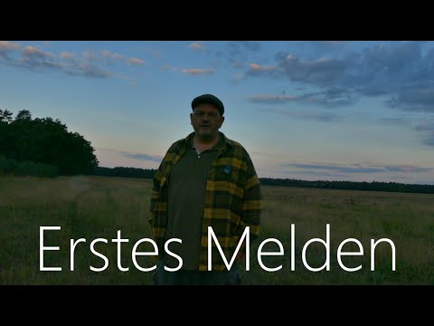 Hirschbrunft - Erstes Melden