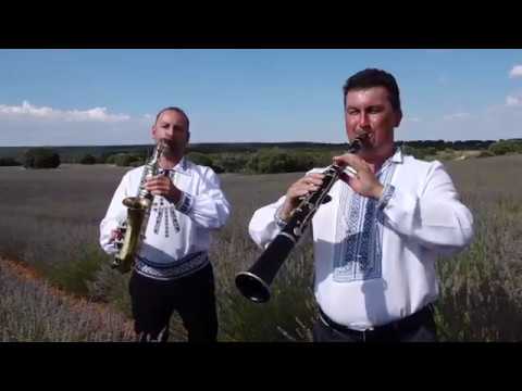 EMIL DANIEL BORTES - Pe cararea spre casuta  / Videoclip oficial