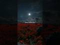 Every Hi Every Bye Every I Love You You Ever Said New West Those Eyes Spng Relaxing Newwest
