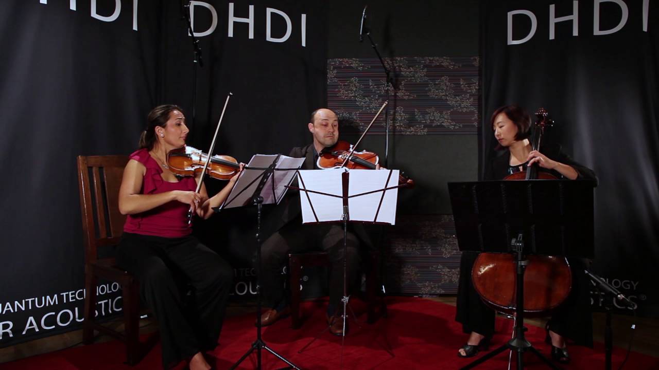 Promotional video thumbnail 1 for Gulia violinist