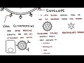 Viral structure – capsid, envelope and genome overview
