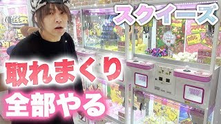 ミニ系クレーンゲームのスクイーズを全部やるこじかる