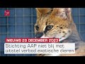 AAP baalt van uitstel dierenverbod en ontruiming na vondst explosief | Dit is Flevoland