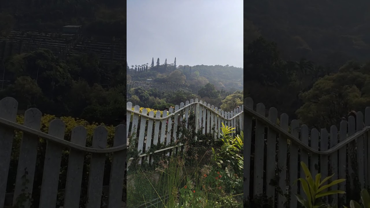 YouTube Short thumbnail