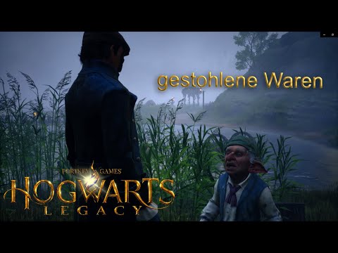 Hogwarts Legacy / gestohlene Waren #nocommentary