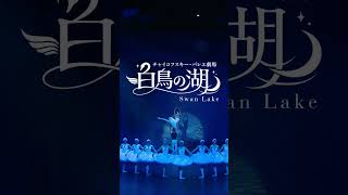 Download lagu 【2026年12-1月開催】チャイコフスキー･バレエ劇場｢白鳥の湖｣PV3 mp3