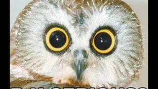 Bad Religion - Inner Logic