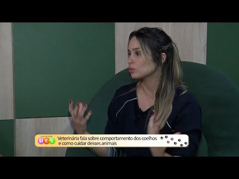 Veterinária fala sobre comportamento dos coelhos e como cuidar desses animais 19 12 2022