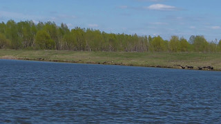 Рыбалка в радищево ульяновской области