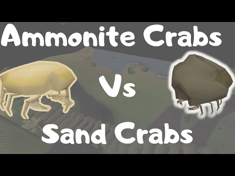 Ammonite Crabs Vs Sand Crabs