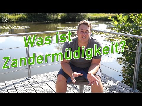 Zandermüdigkeit Blog 30