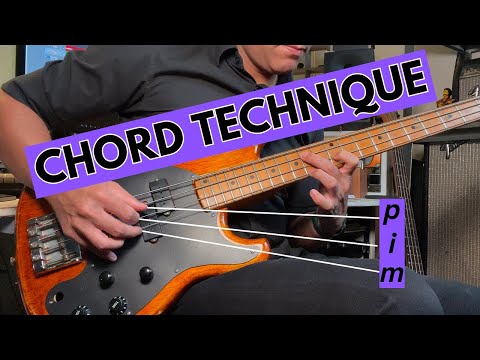 Learn How To Play Bass Chords
