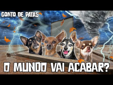 CONTO DE PATAS: A GRANDE TEMPESTADE! 🌩️
