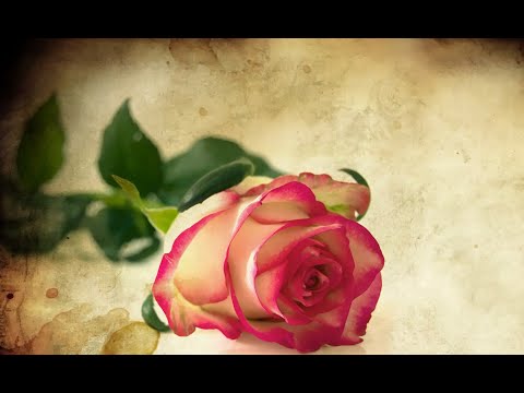 Welche Blockaden werdet ihr gemeinsam überwinden? | Lovekey