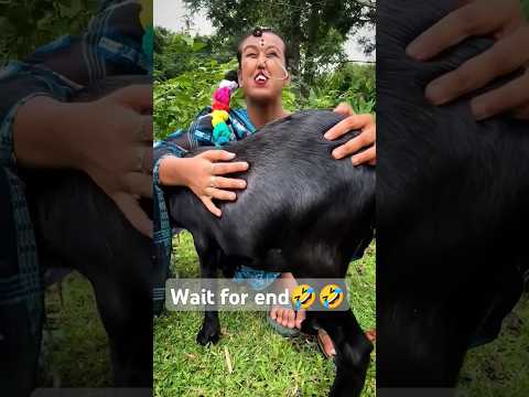 Hayre low 🤣🤣 #latika #funny #ytshorts #comedy #reels #shortsviral #comedymemes #funnymemes